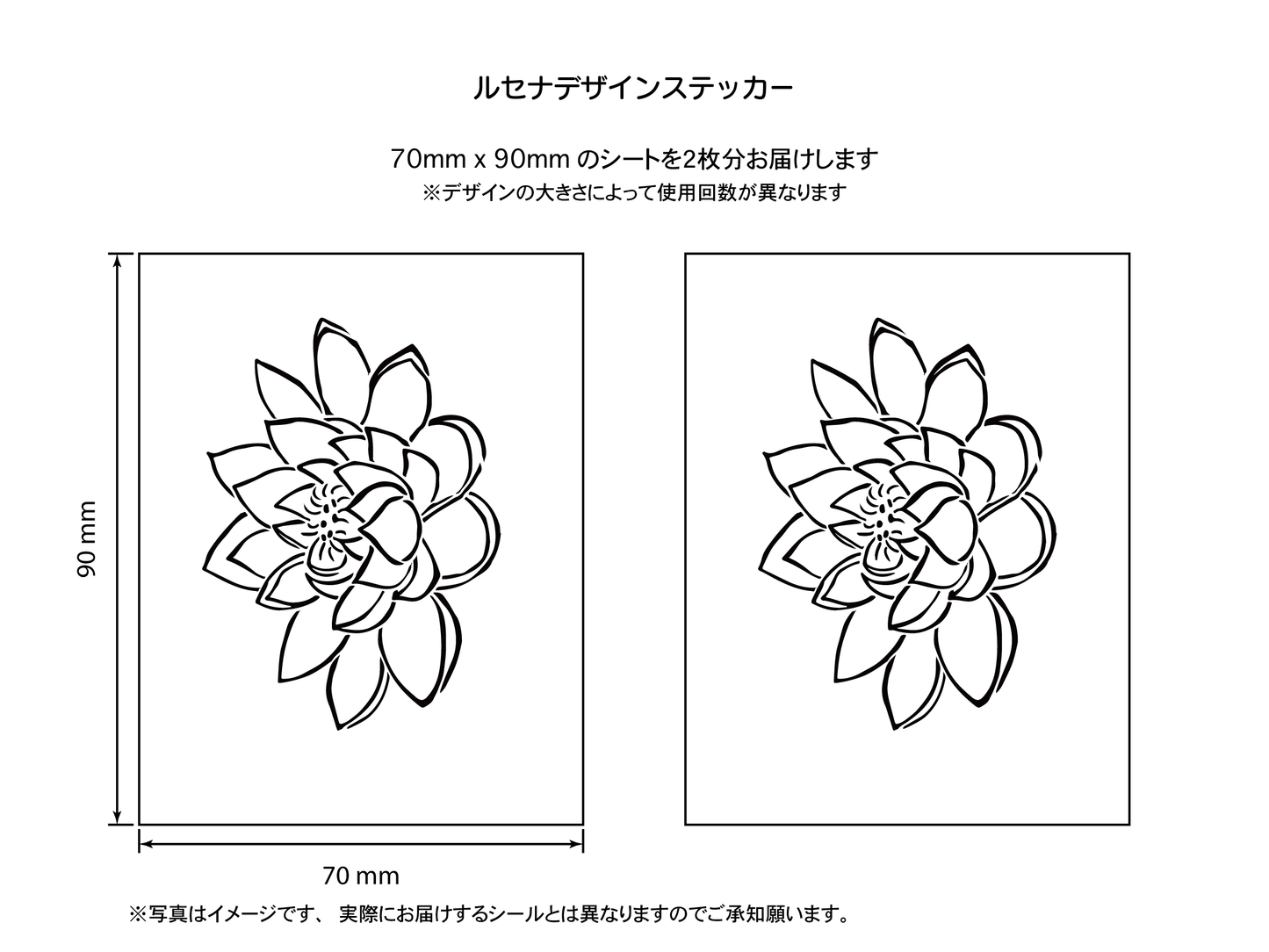 清らかな心 蓮の花