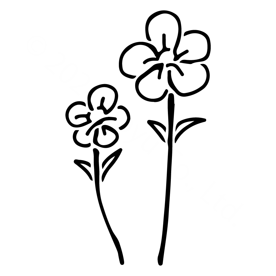 花7