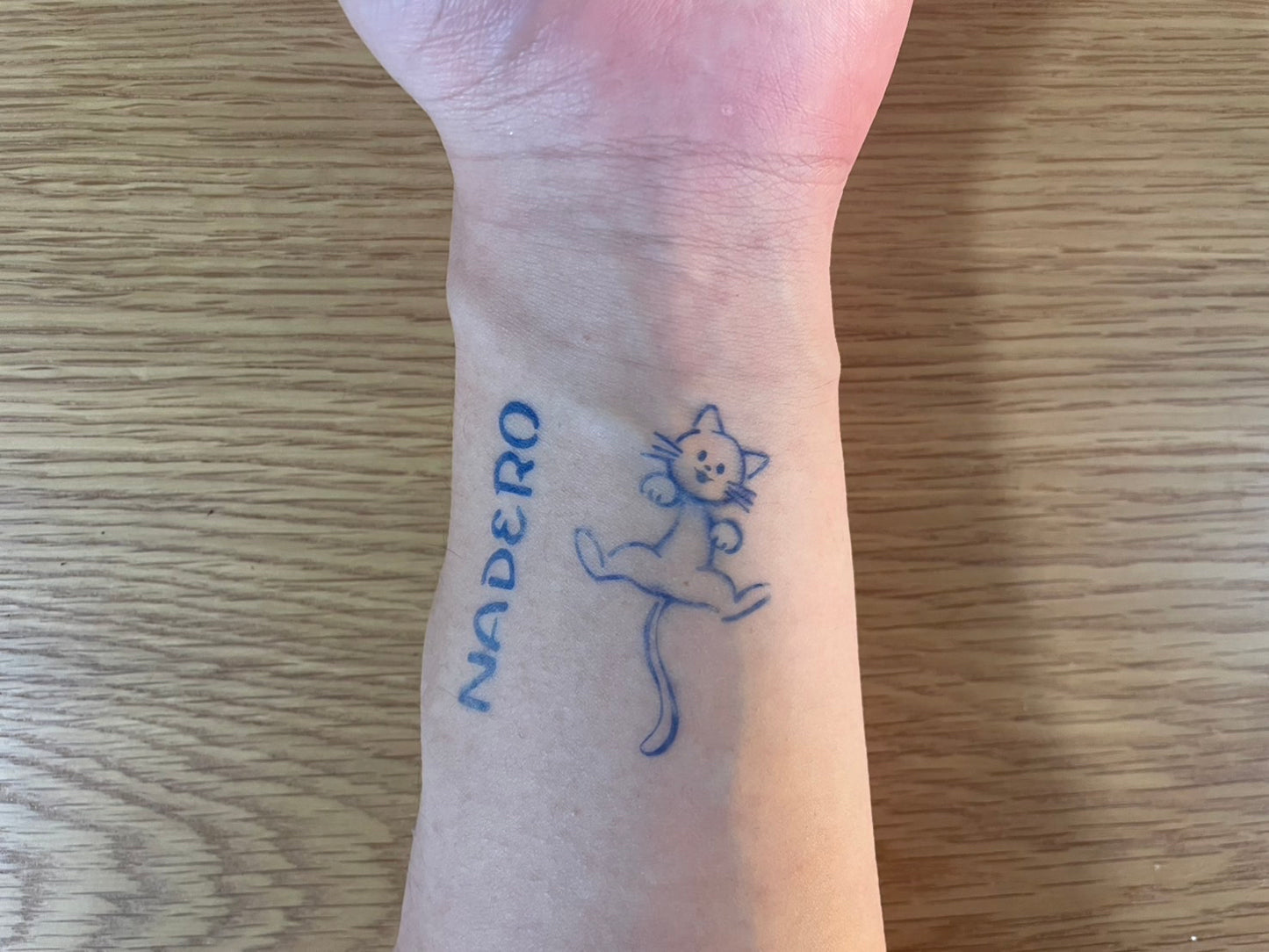 Simple Cat