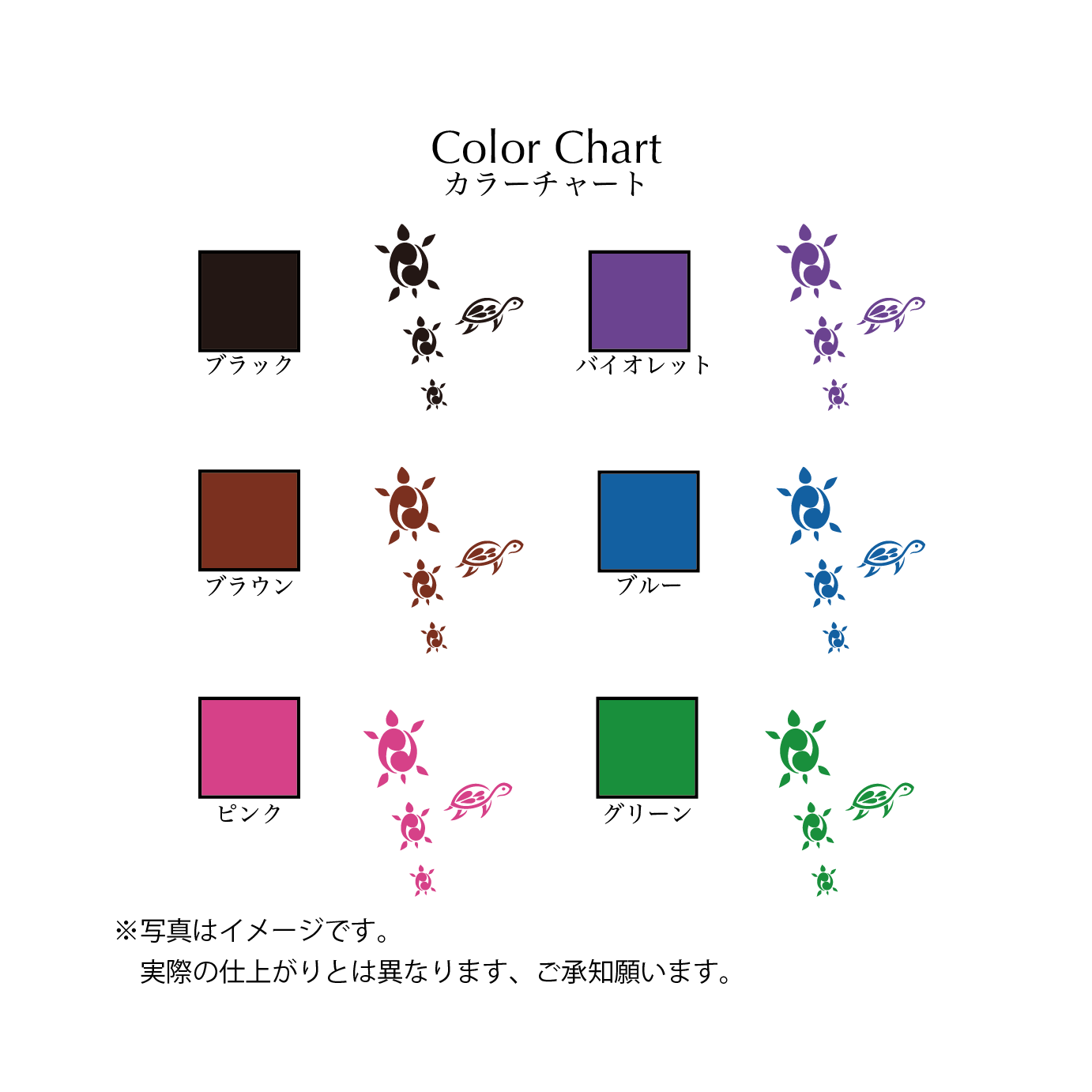 カメ１