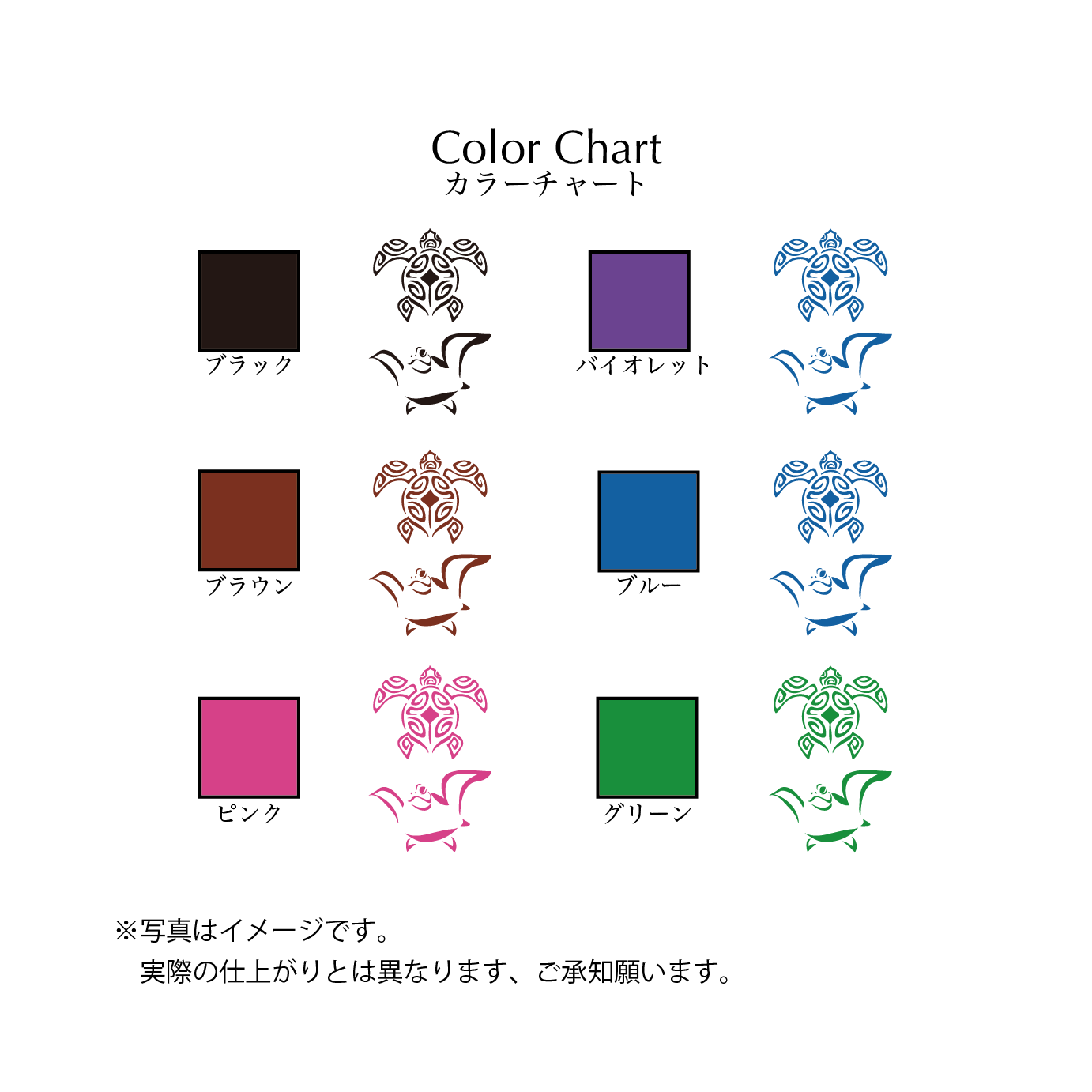 カメ２