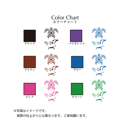 カメ２
