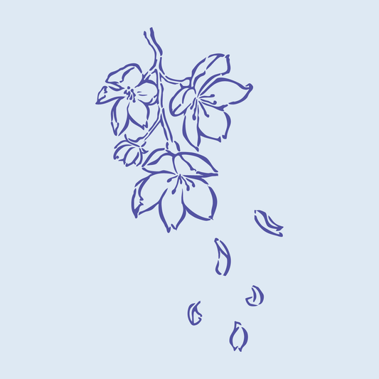 卯月　桜の花