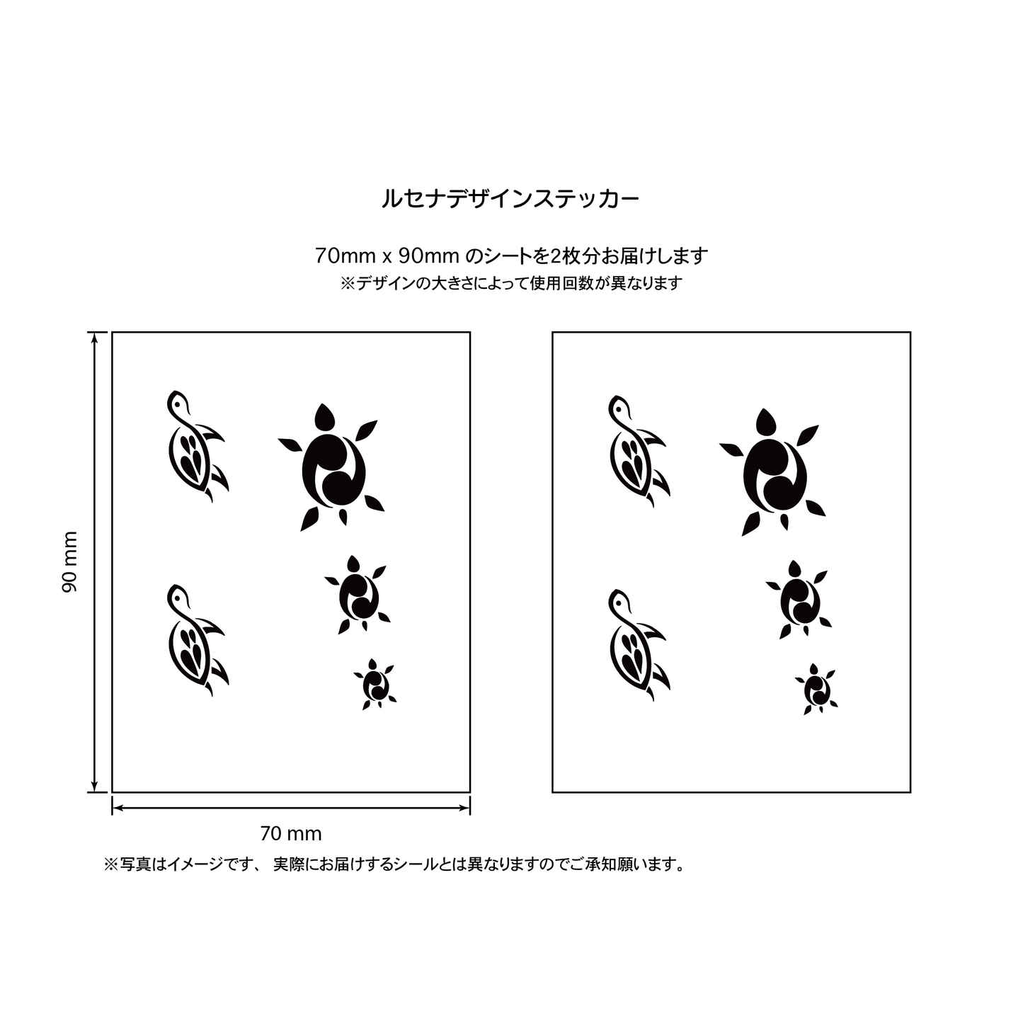 カメ１