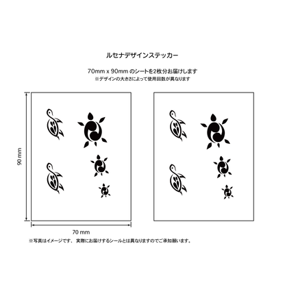 カメ１