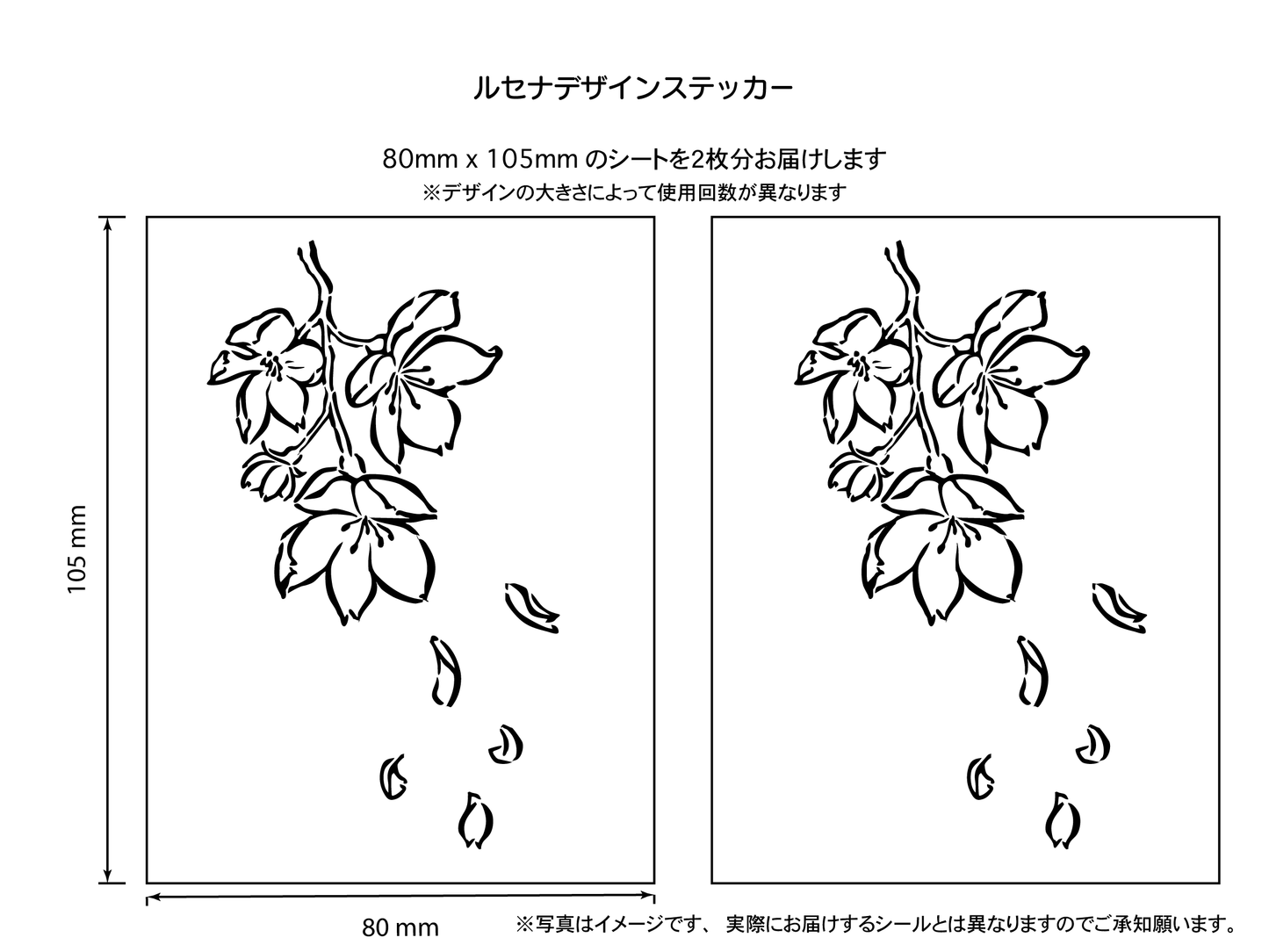 卯月　桜の花