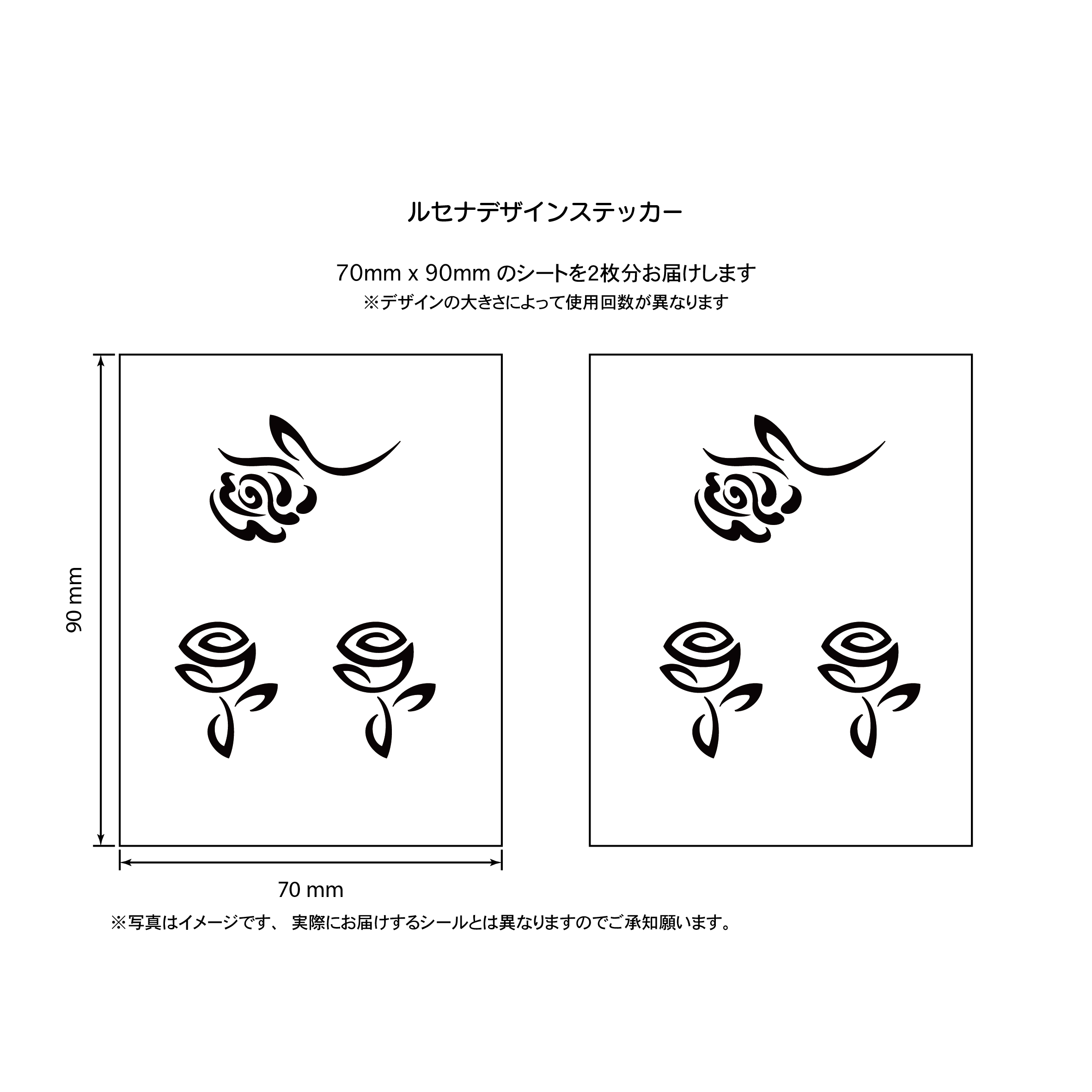 バラ２
