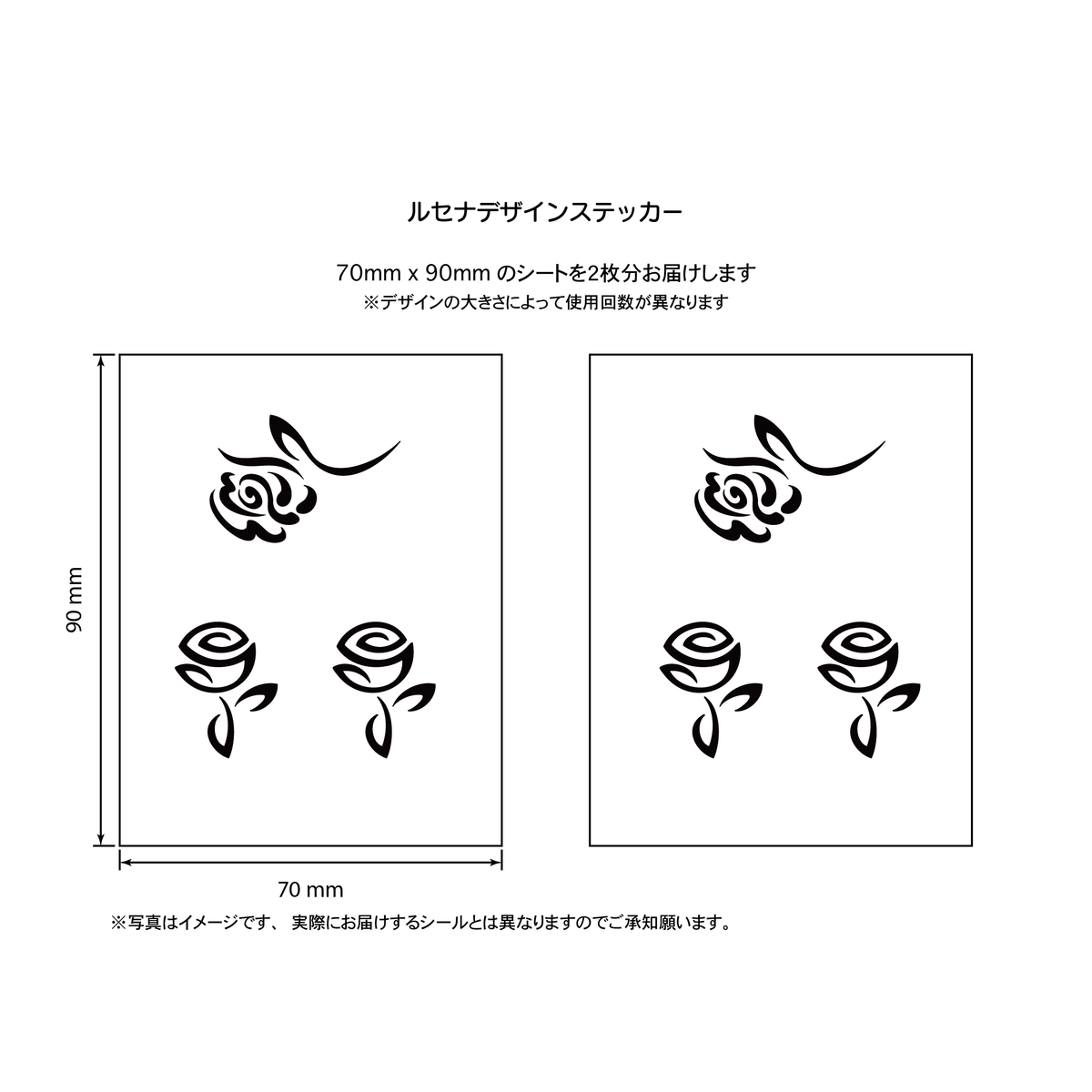 バラ２