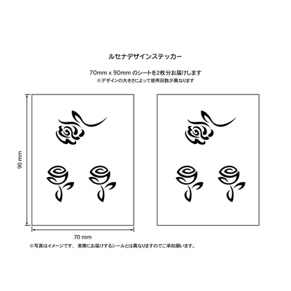 バラ２