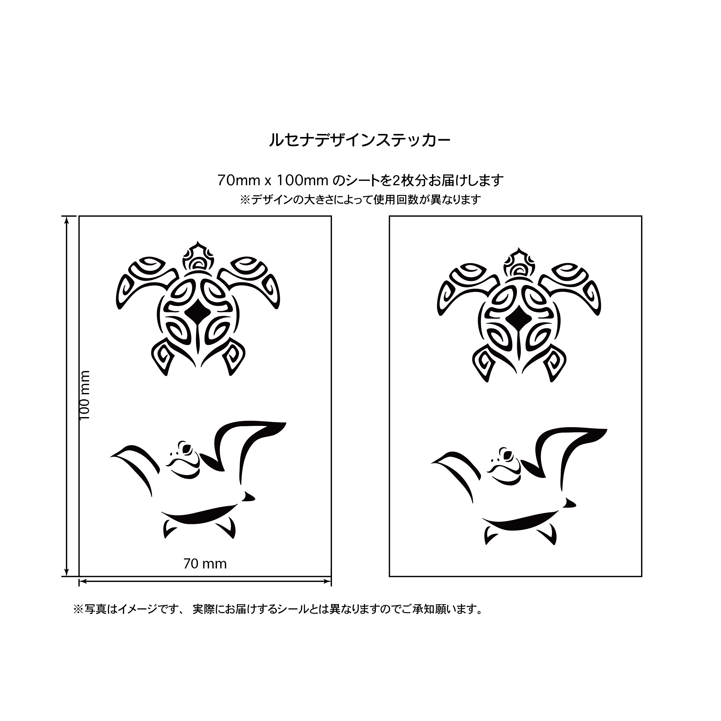 カメ２