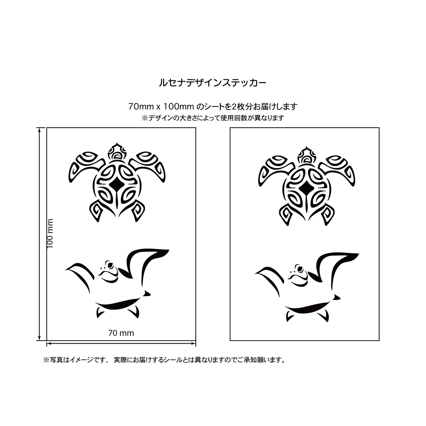 カメ２
