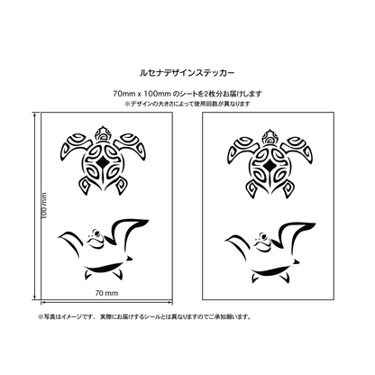 カメ２