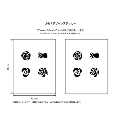 バラ３