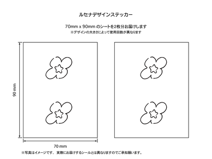 花6