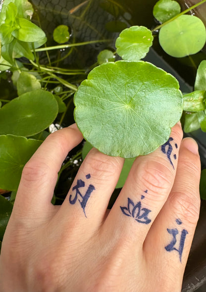 梵字　釈迦三尊