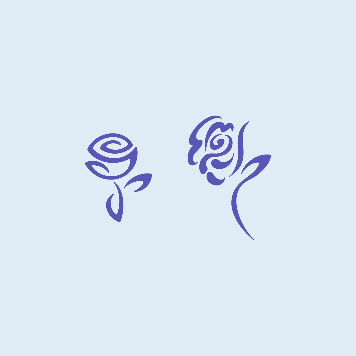 バラ２