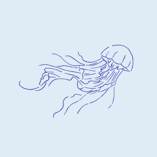 海2